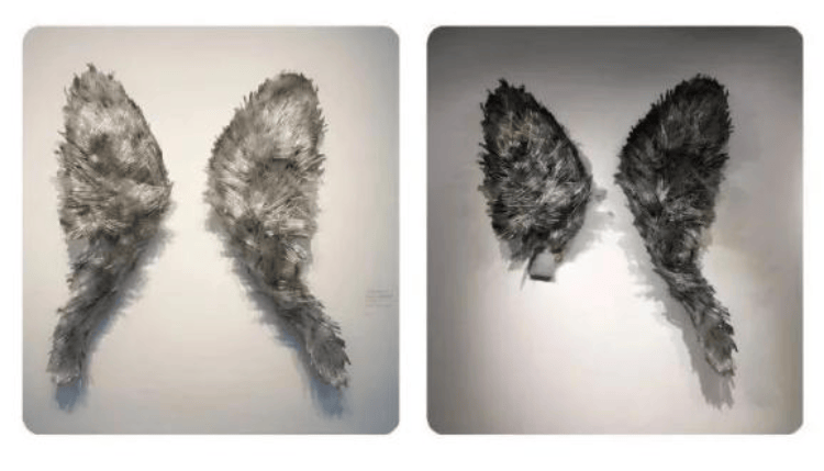 上海一博物馆循环播放12年前“熊孩子”损坏展品视频，馆方：起警示作用