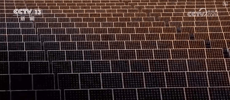 多领域上半年“成绩单”出炉，活力澎湃！利好积聚经济“跃动”内生动力强劲