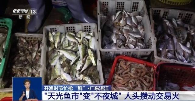 开渔时节首批海鱼虾蟹上岸 市民游客岸边等船抢“鲜”一步