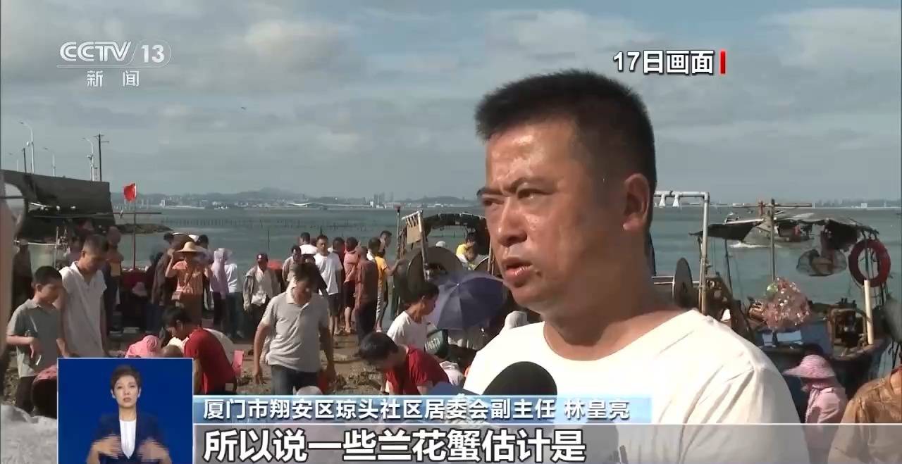 开渔时节首批海鱼虾蟹上岸 市民游客岸边等船抢“鲜”一步