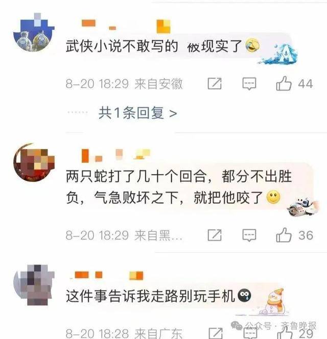 安徽宣城一男子走路玩手机,一脚踩中打架的竹叶青和五步蛇,被俩毒蛇咬3口!医院:暂无生命危险,正在治疗