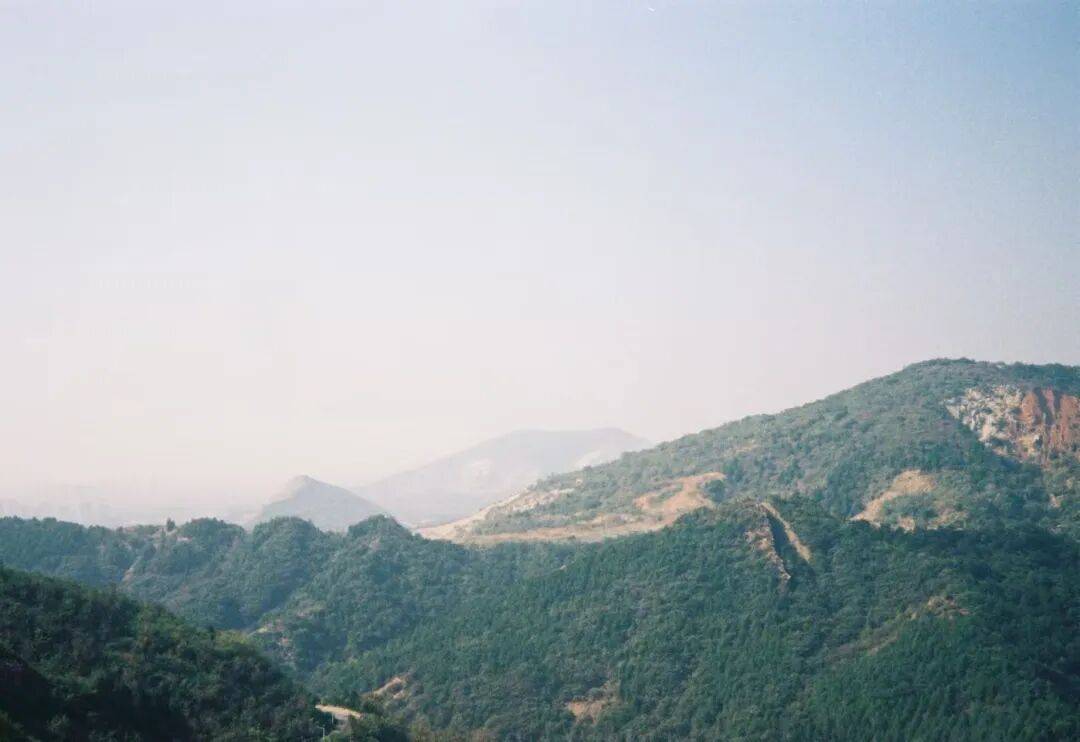 卷了一周的北京白领，周末扎进天津县城