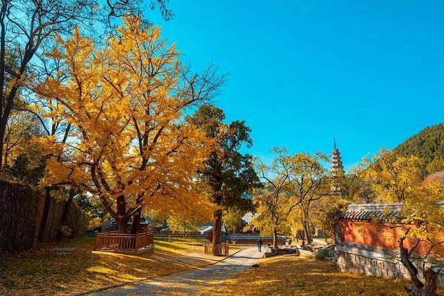 动画照进现实！这个假期，奔赴电影同款取景地