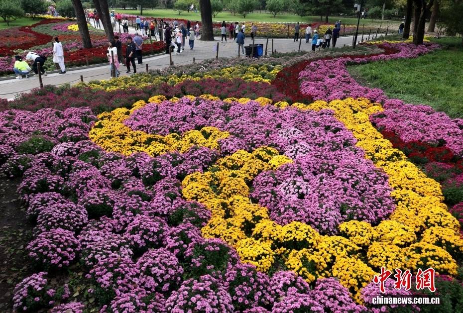 北京：游客漫步“菊海花田” 感受秋日盛景