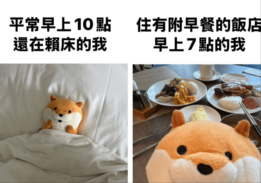 人生建议:女性早餐真应该多吃点脂肪!