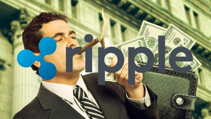 瑞波币会员量有多少(瑞波币能到1000一个)