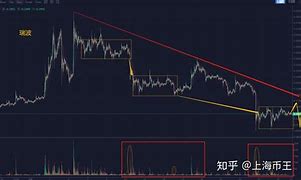 瑞波币能不能涨到100(瑞波币能不能涨到20美元以上)