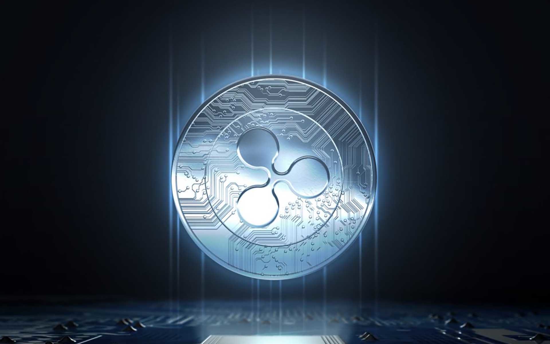 瑞波q币(瑞波琴官网)