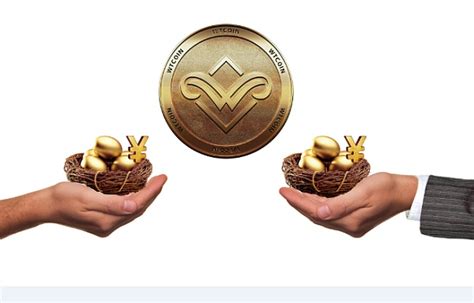 瑞波币与加密货币(瑞波币与加密货币的关系)