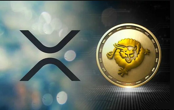 关于在平台投资瑞波币可靠吗的信息