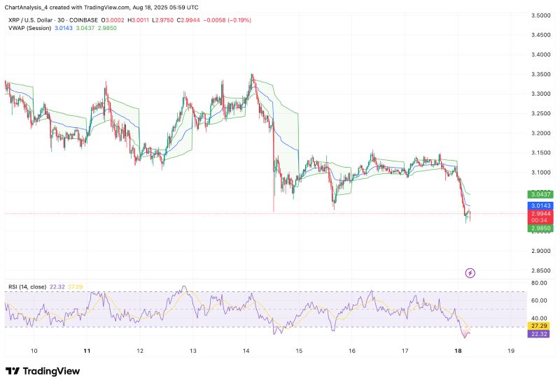 瑞波币今日行情的(今日瑞波币今日价格)