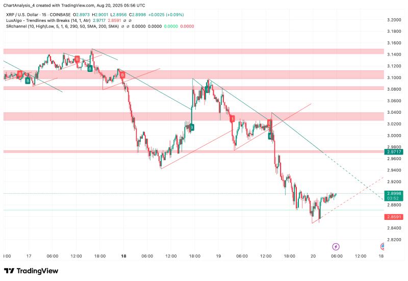 瑞波币今日单价情走势(瑞波币今天行情最新价格)