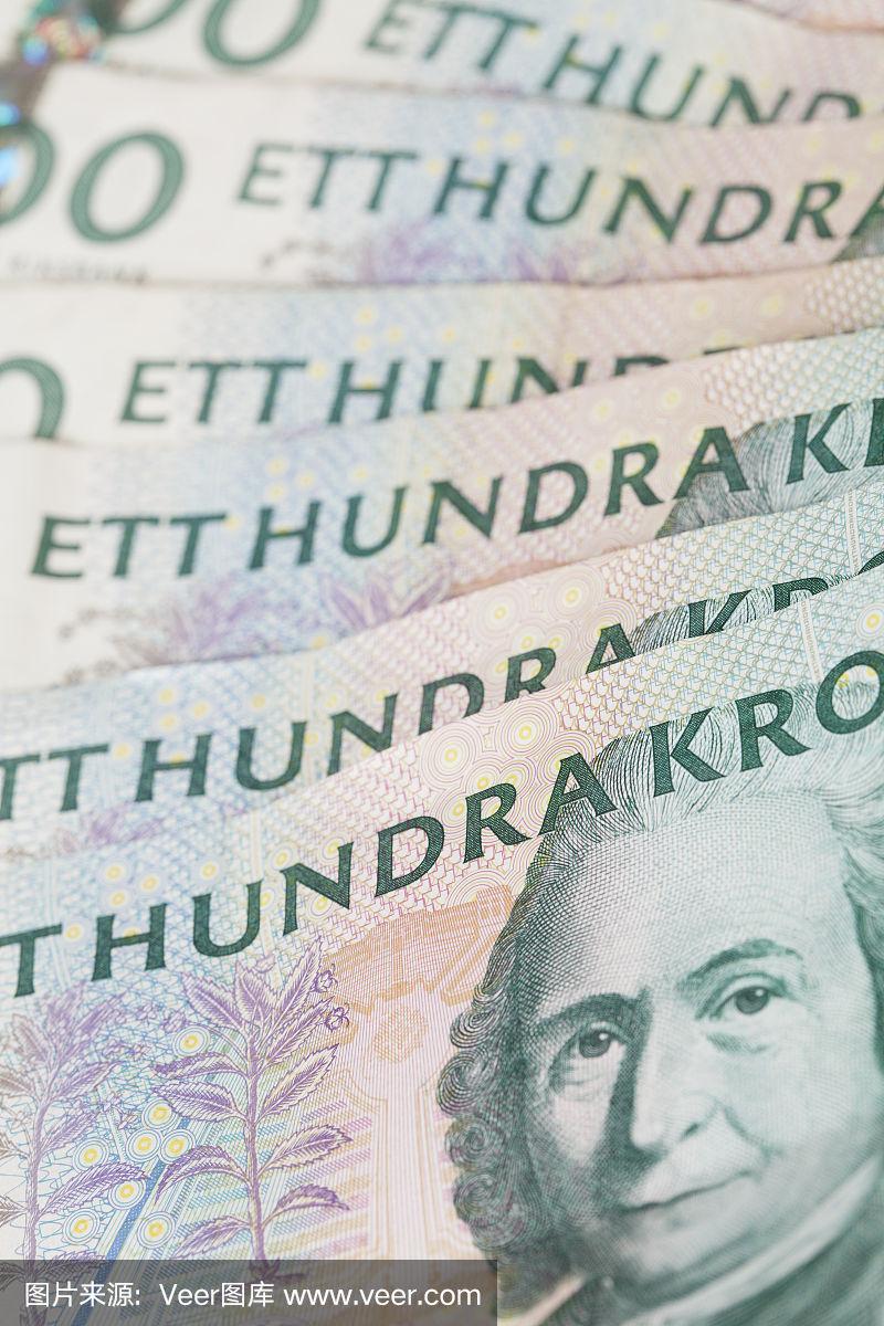 瑞典货币(瑞典货币兑换人民币)