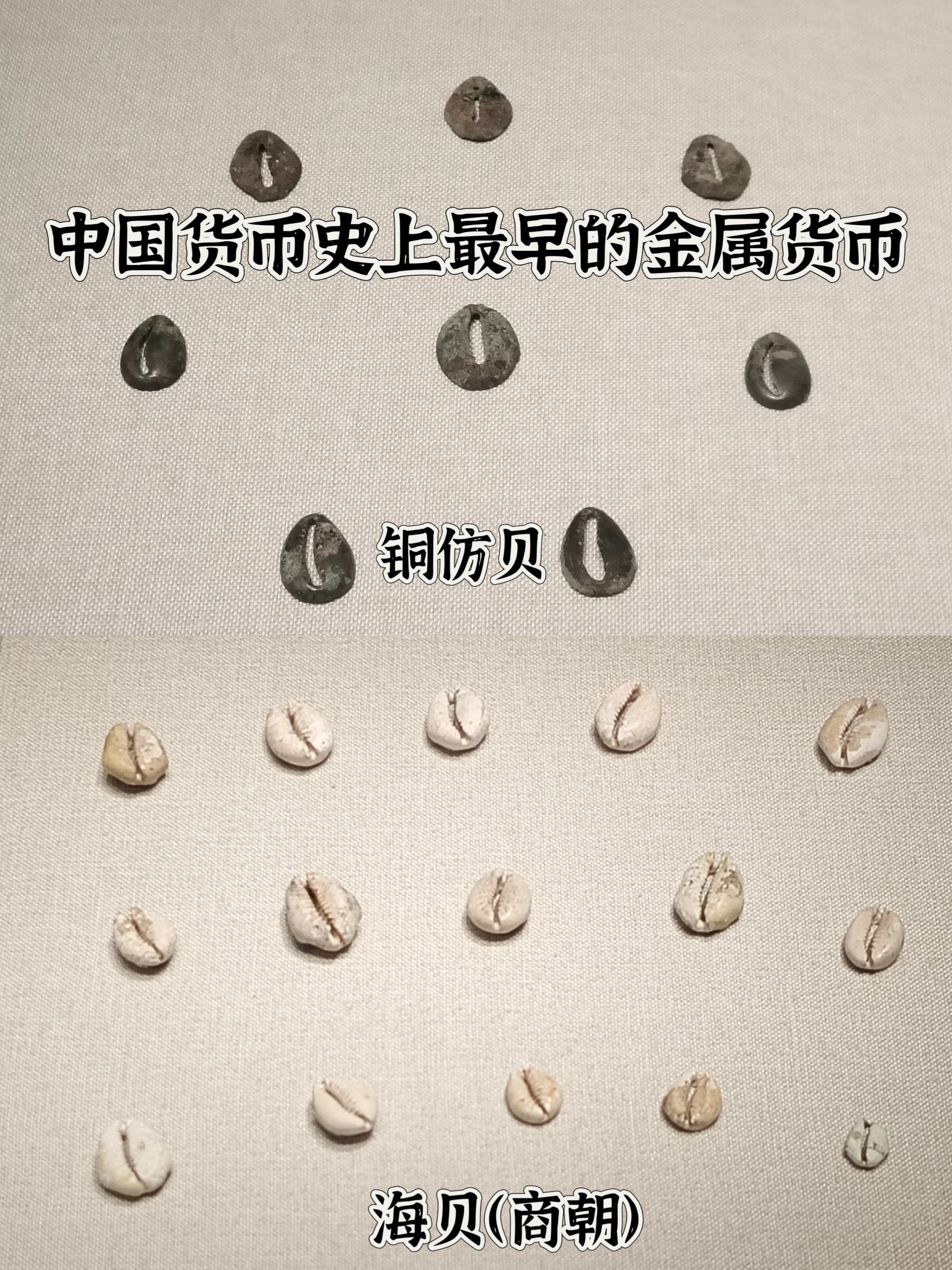 是什么货币(sgd是什么货币)